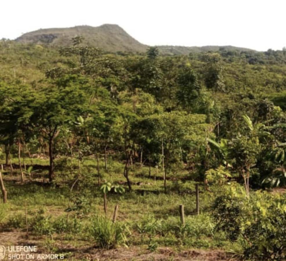 Chale Duplex Com Vista A Serra Do Segredo Sao Jorge (Goias)
